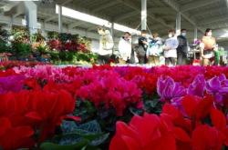 赤峰古玩城花市地址電話號碼