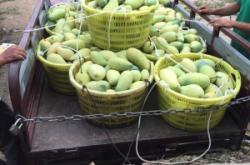 烏海到赤峰拉煤的車電話號碼