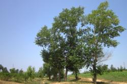 赤峰三西街眼鏡店電話號碼