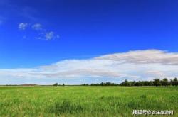 赤峰緣逸農(nóng)莊電話號碼查詢是多少