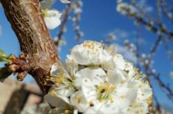 赤峰市小營子社區(qū)電話號碼