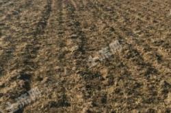 赤峰種植土廠家電話號(hào)碼查詢