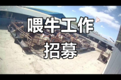 赤峰辦公室招工電話號碼查詢