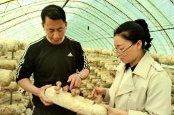 赤峰市林西縣信訪電話號碼