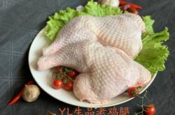 赤峰賣(mài)雞凍貨電話號(hào)碼查詢