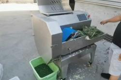 赤峰韭菜切丁機(jī)廠家電話號碼