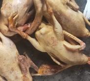 赤峰大鵝蹦迪地址電話號碼查詢