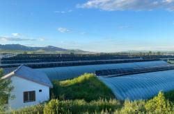 赤峰葫蘆峪采摘園電話多少號(hào)