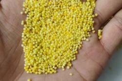 赤峰賣麩皮的地方電話是多少號