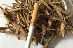 赤峰小董種苗廠電話號碼查詢