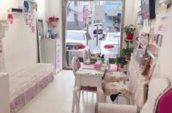 赤峰婷婷美甲美睫店電話號碼