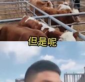 赤峰抓牛向導電話號碼多少