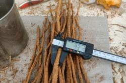 赤峰焦化硫磺廠電話多少號(hào)