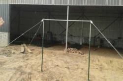 赤峰油葵收購廠家電話號碼