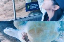 赤峰萬悅水族館拍照電話號碼