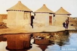 赤峰賣防老鼠糧倉電話是多少號