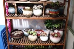 赤峰二手花架清倉處理電話號碼