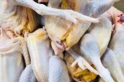 赤峰冷凍整雞批發(fā)電話地址查詢