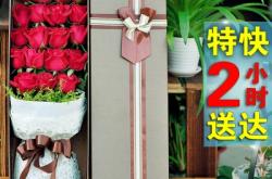 赤峰花店包裝紙批發(fā)電話號(hào)碼