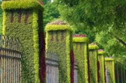 赤峰綠雕加工廠電話地址查詢