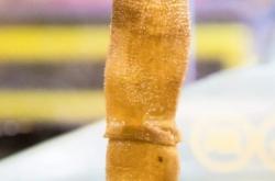 赤峰二道街油條店電話地址查詢