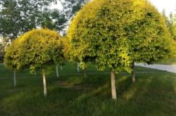 赤峰市永業(yè)廣場大廈電話號碼