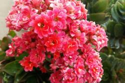 赤峰喀喇沁得航賓館電話(huà)號(hào)碼