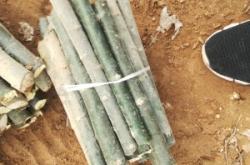 赤峰楊臣診所地址電話多少號