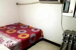 赤峰平莊賣(mài)狗的店鋪電話號(hào)碼