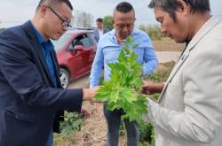 赤峰艾迪美發(fā)電話號(hào)碼多少號(hào)