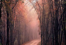 赤峰回收郵票的電話地址是多少