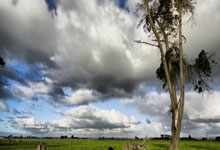 赤峰牛骨頭送貨電話號(hào)碼查詢