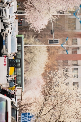 赤峰德豐焦?fàn)t廠電話多少號-第1張圖片