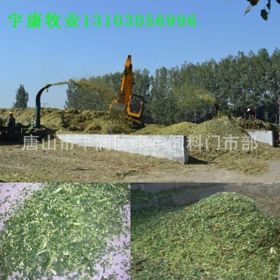 赤峰玉米青儲(chǔ)回收公司電話號(hào)碼-第1張圖片