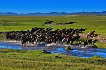 赤峰蒙中紋身店電話號碼多少-第1張圖片