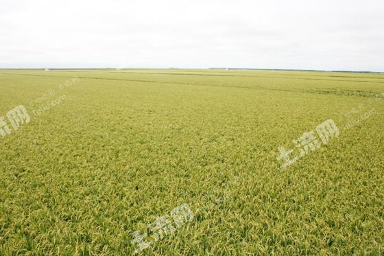 赤峰巴林右旗甜品店電話(huà)號(hào)碼-第1張圖片