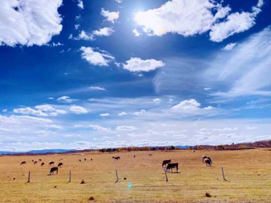 赤峰夢(mèng)龍理發(fā)店地址電話號(hào)碼-第1張圖片