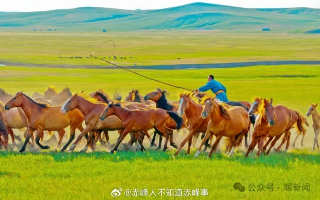 赤峰市東野發(fā)型店電話號碼-第1張圖片