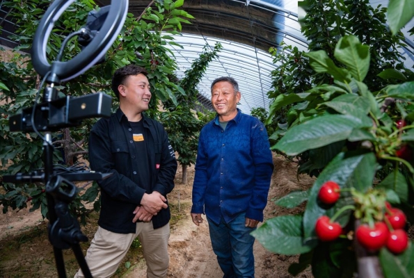 赤峰農(nóng)產(chǎn)品帶貨公司電話(huà)號(hào)碼-第1張圖片