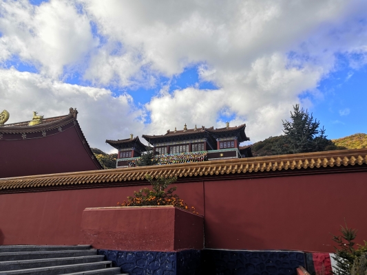 赤峰市美林鎮(zhèn)賓館電話號(hào)碼-第1張圖片