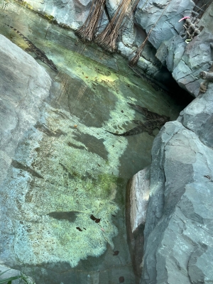 赤峰市爬蟲(chóng)館電話地址號(hào)碼查詢-第1張圖片