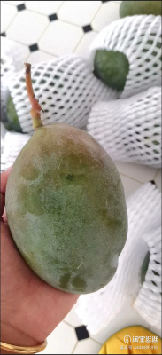 赤峰賣(mài)凱特芒果的電話號(hào)碼是多少-第1張圖片