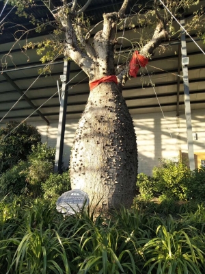 赤峰植物生態(tài)園電話號(hào)碼查詢-第1張圖片