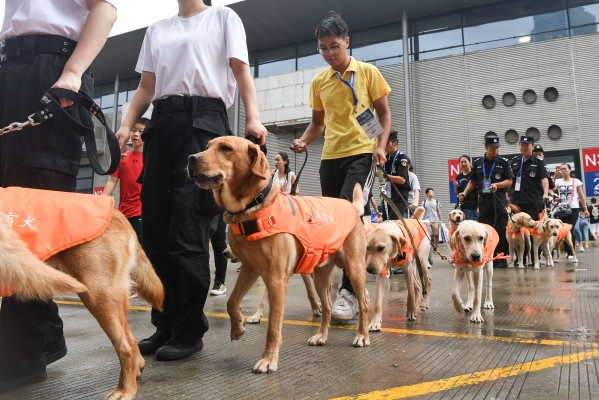 赤峰市導盲犬訓練基地電話號碼-第1張圖片