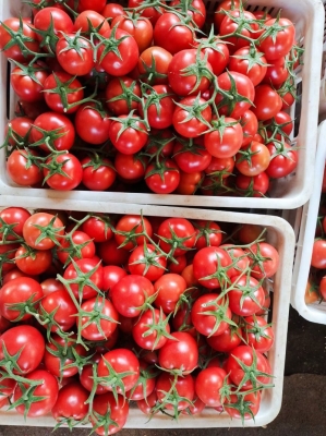 赤峰大廟粉果店電話多少號-第1張圖片