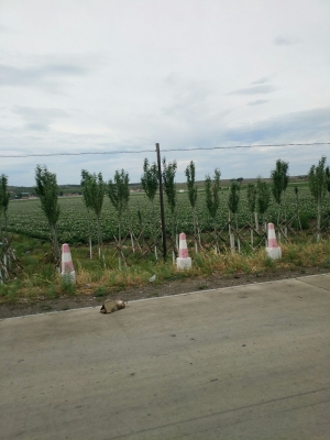 赤峰強(qiáng)潤牧業(yè)電話多少號碼-第1張圖片