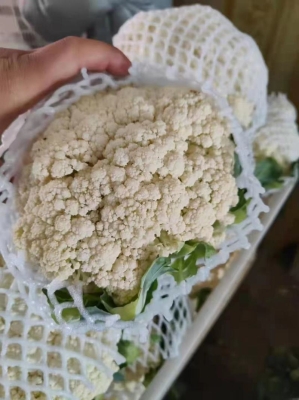 赤峰美辰超市電話號碼查詢-第1張圖片