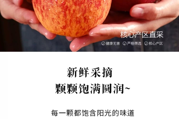 赤峰糖心蘋果采摘基地電話號(hào)碼-第1張圖片