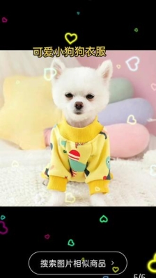 赤峰寵物衣服批發(fā)市場(chǎng)電話號(hào)碼-第1張圖片