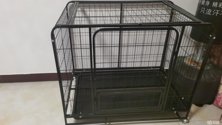 赤峰同城丟狗電話多少號碼-第1張圖片